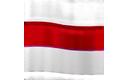 Hungarian flag